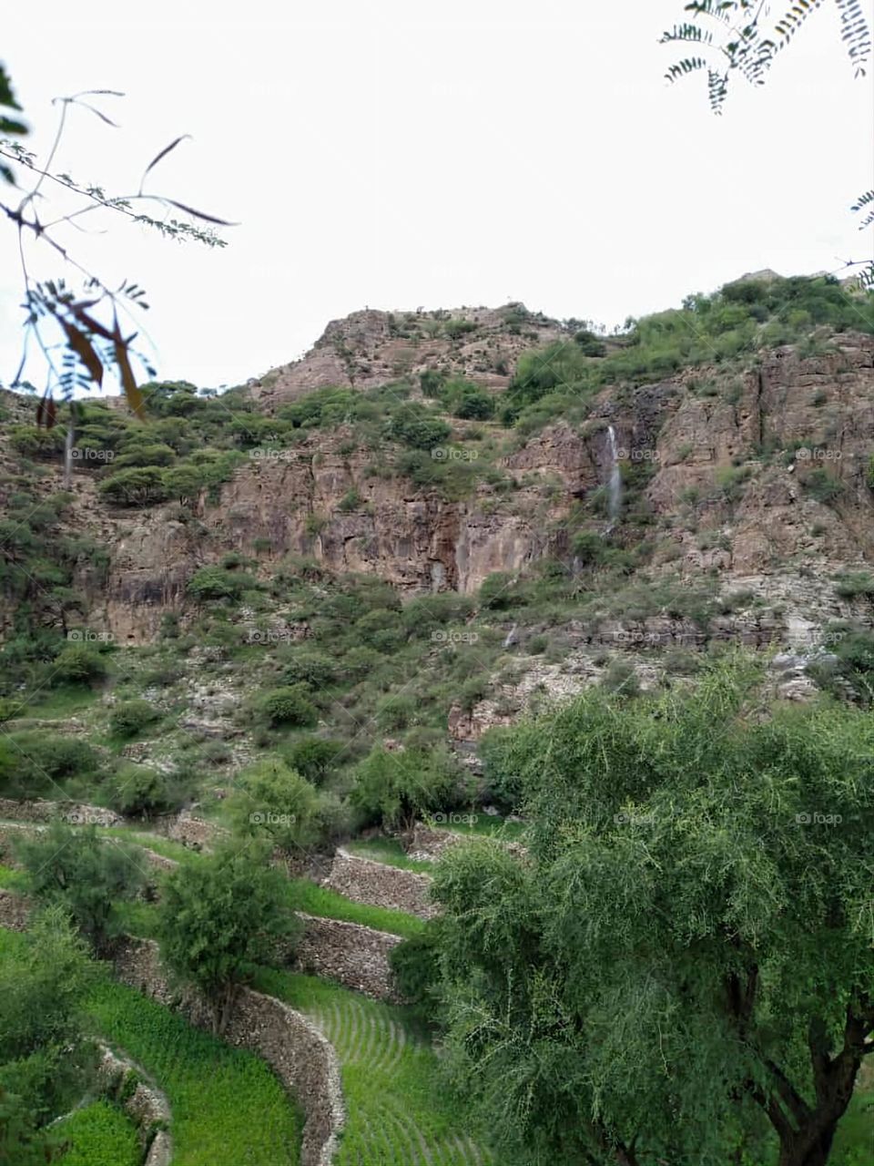 Glory be to God, the magnificent and picturesque view and the natural green trees are a view that is nothing more wonderful than it