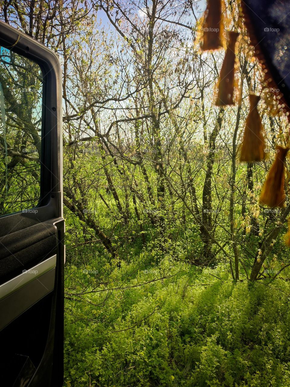 Spring nature view from the truck. Open car's door with perfect spring day