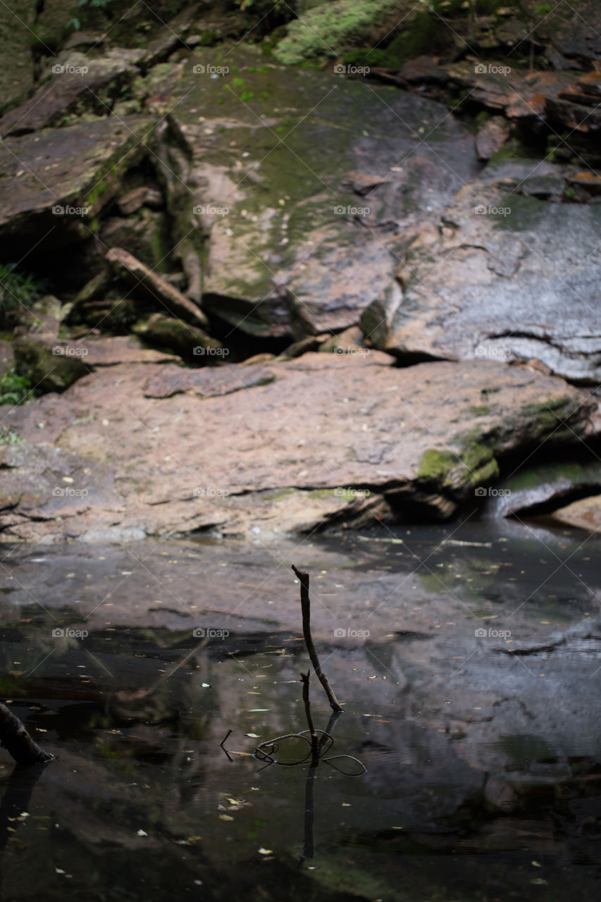 Stone in the pond