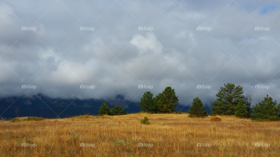low clouds drift over the mountains behind a golden field of grass