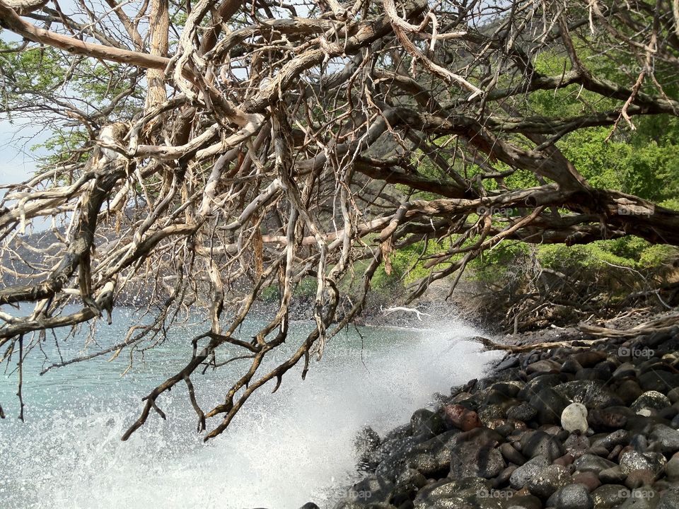 Hawaiian Beachscape. Waves come ashore the rocky beach next to the Captain Cook Monument in Kealakekua Bay, Hawaii. 