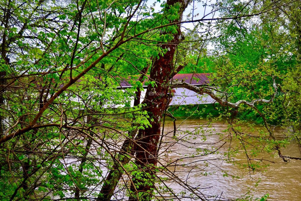 Spring rain on the river in Indiana 