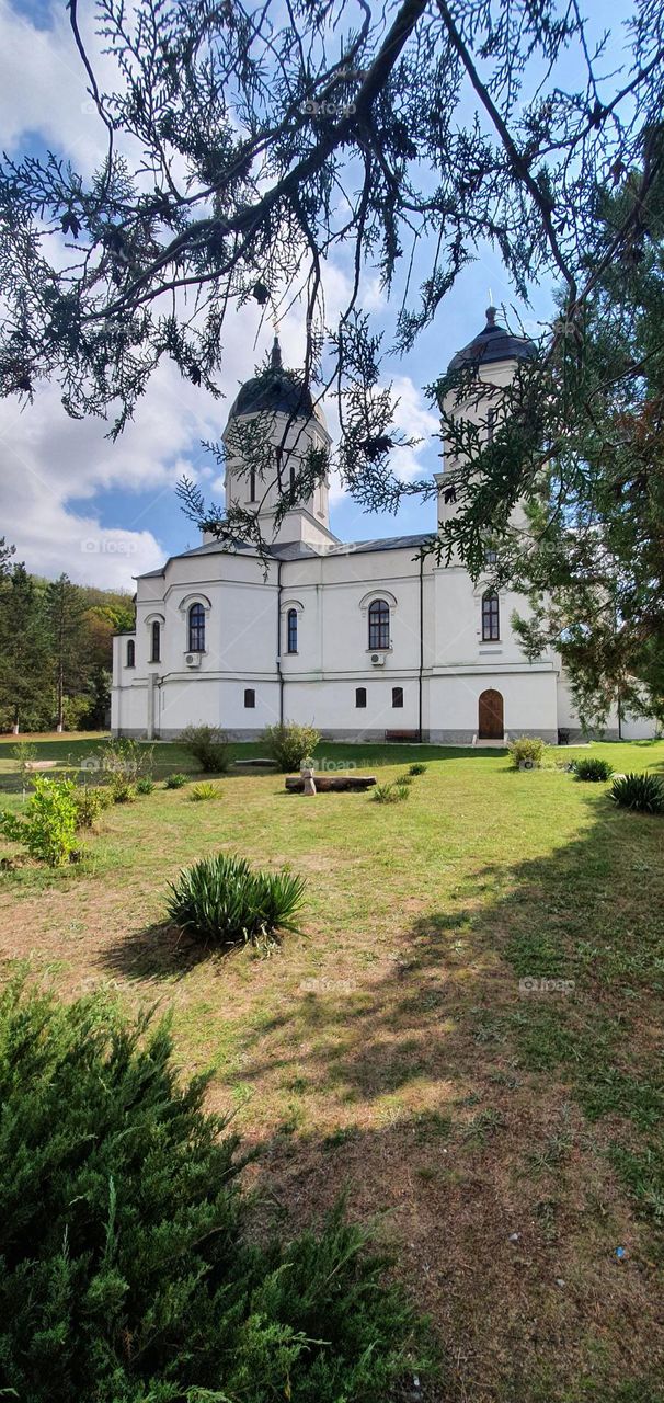 Orthodox Church