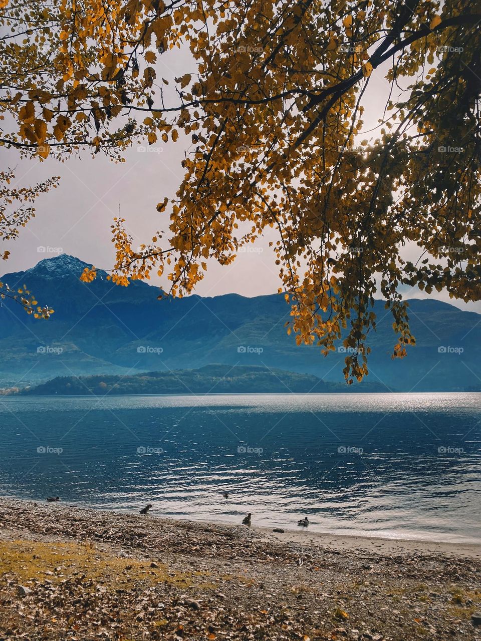 View from the beach, lake in autumn 