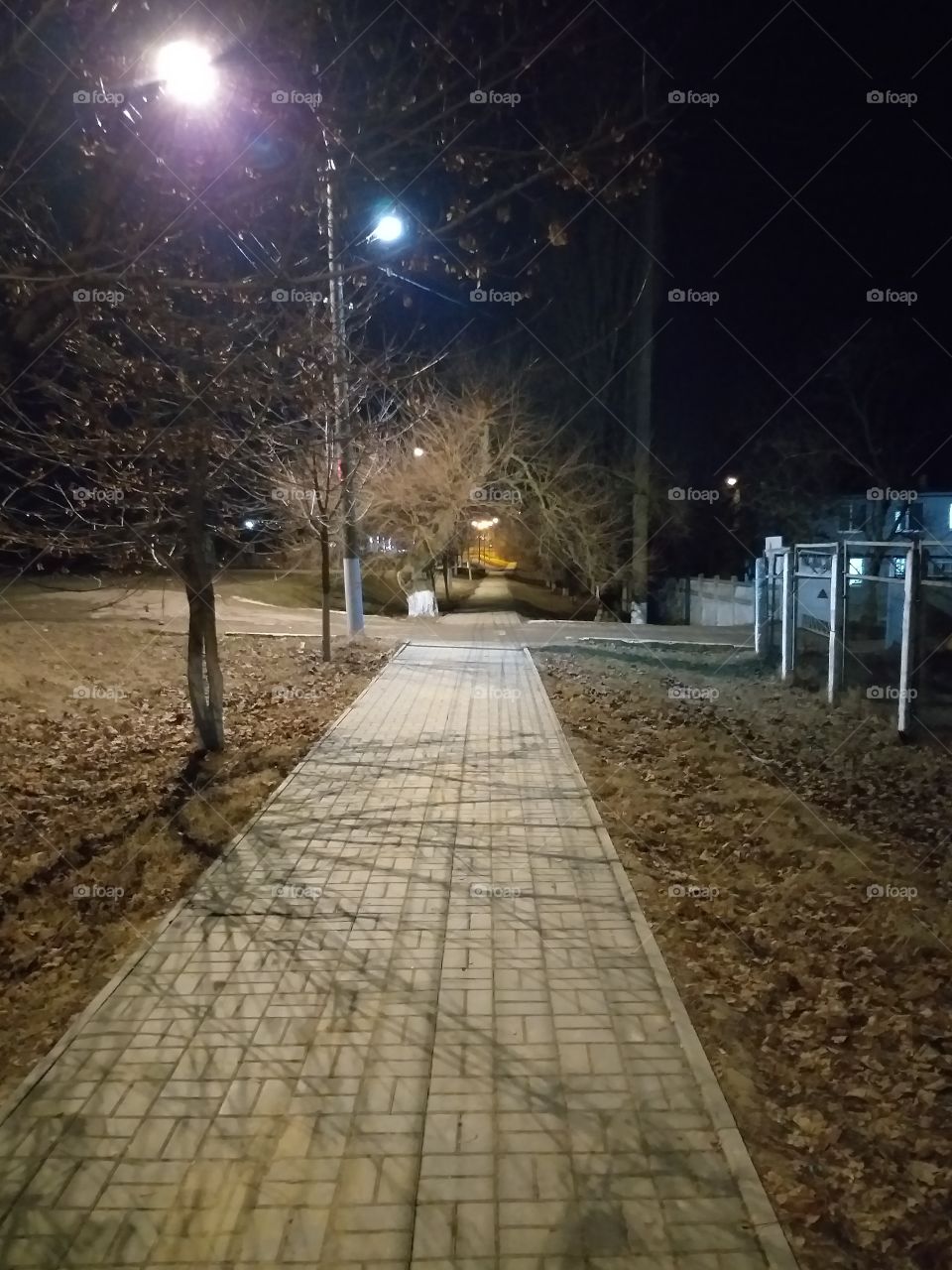 night path