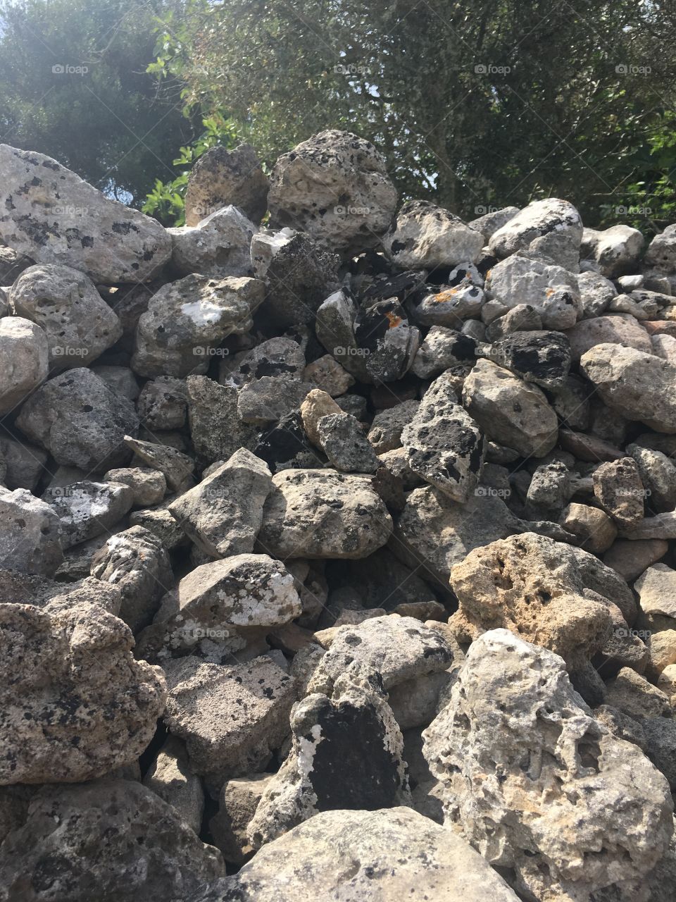Rocks
