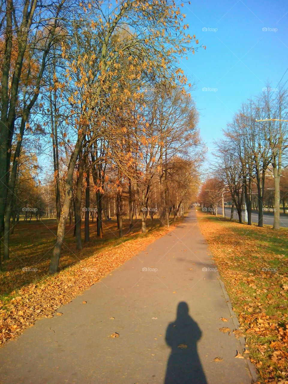 streetscape and shadows people