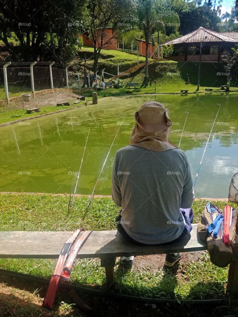 Fishing at a pond on a sunny day