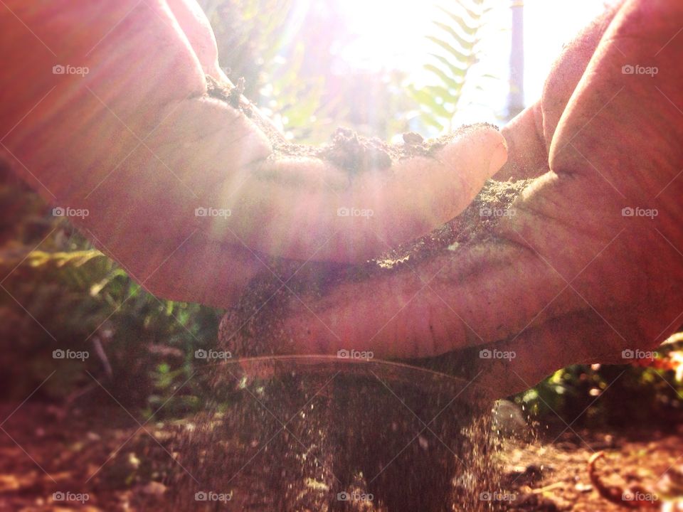Digging in the dirt, first thing in the morning. 