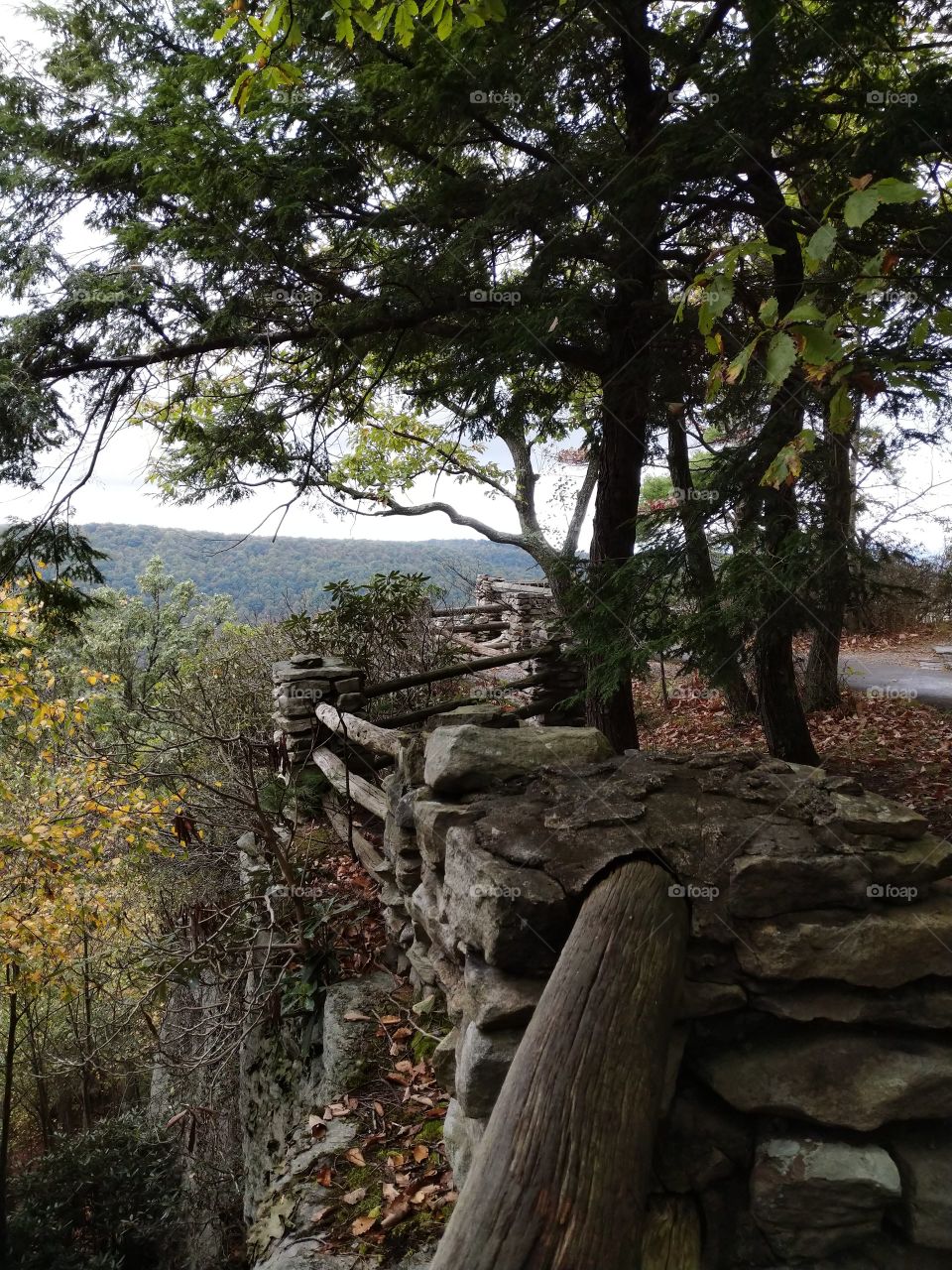 Coopers Rock, West Virginia