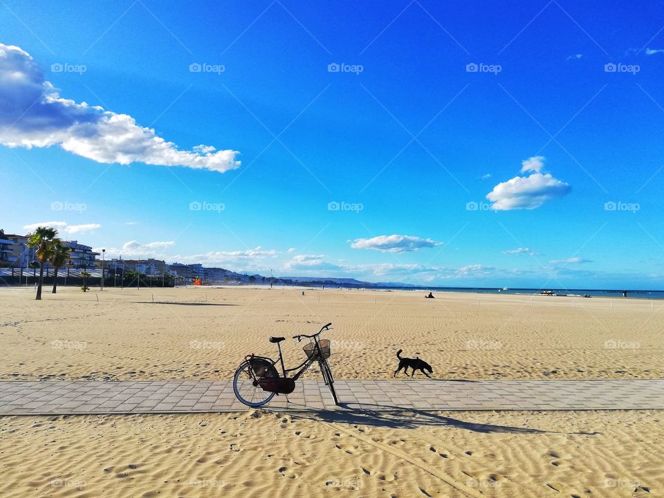 bicycle with basket parked on the beach