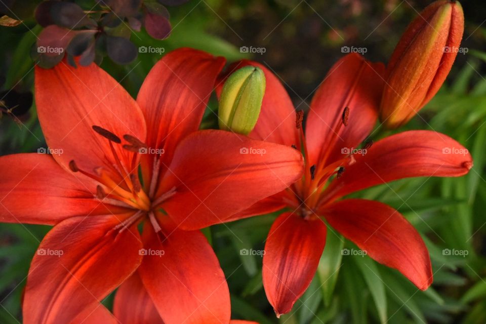 Darryl Wilson. Just snapping pics