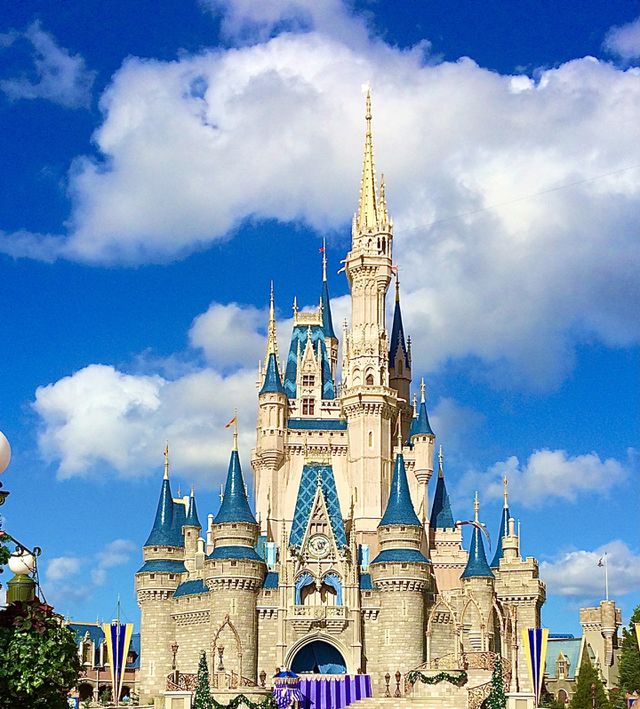 Disney castle 