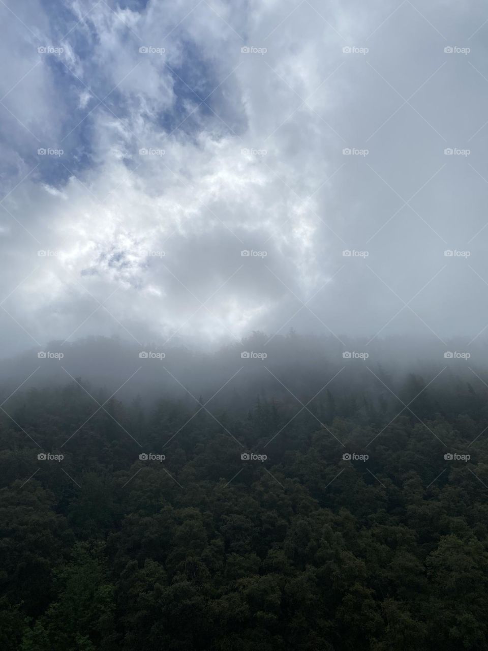 overcast alaskan skies.