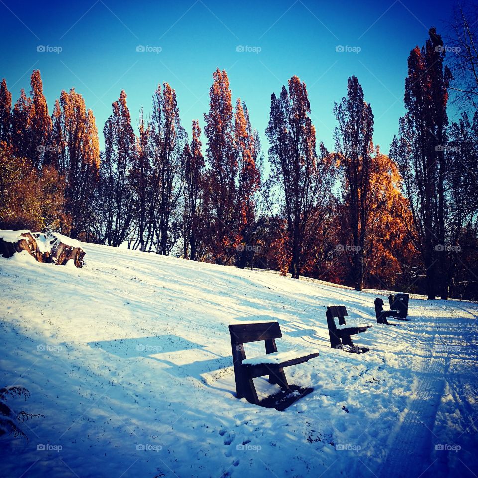 Winter Wonderland, Norway