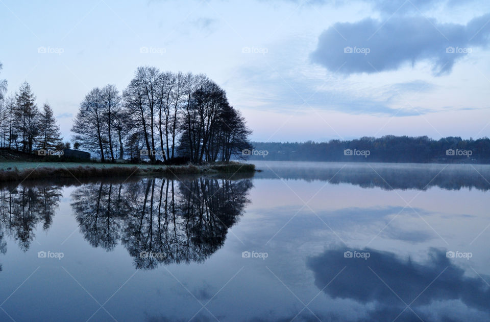 foggy morning at the lake in poland