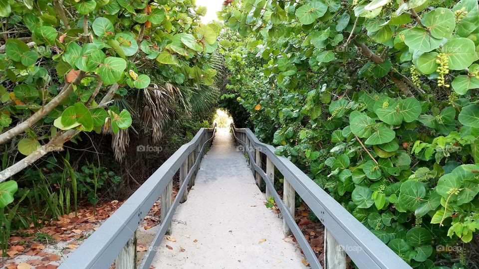 May 31, 2019 Walkway to a part of Vero Beach Florida.  I would go here once a month for 2-3 days if I could. The locals are very nice and laid back