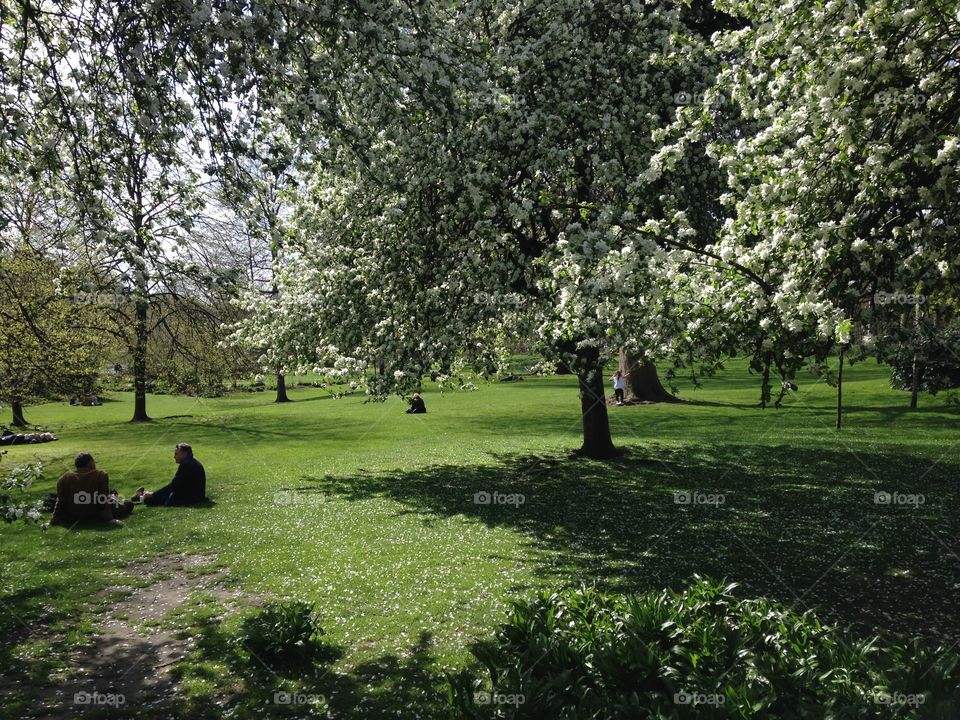 Spring at St James park