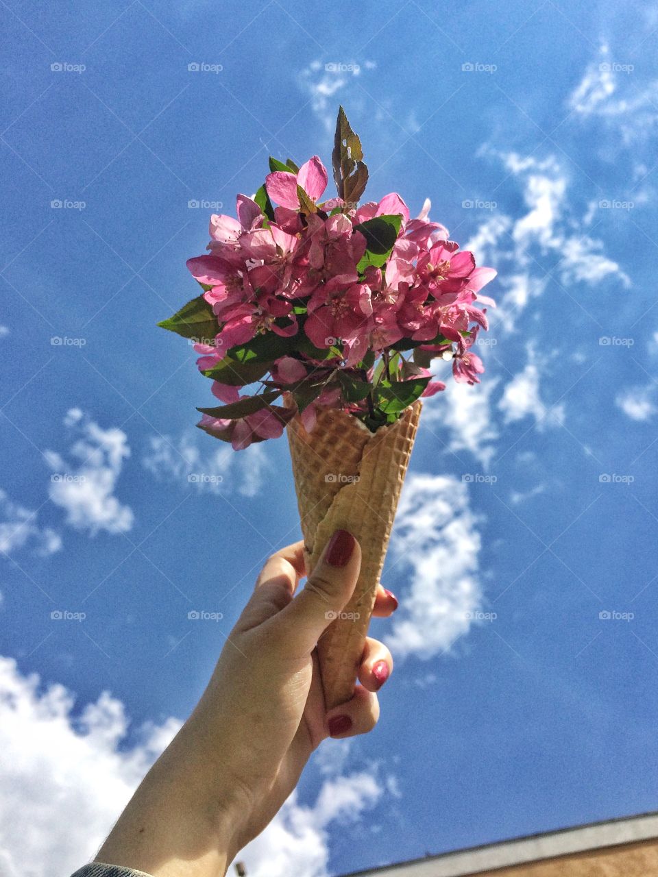 Person holding summer ice cream