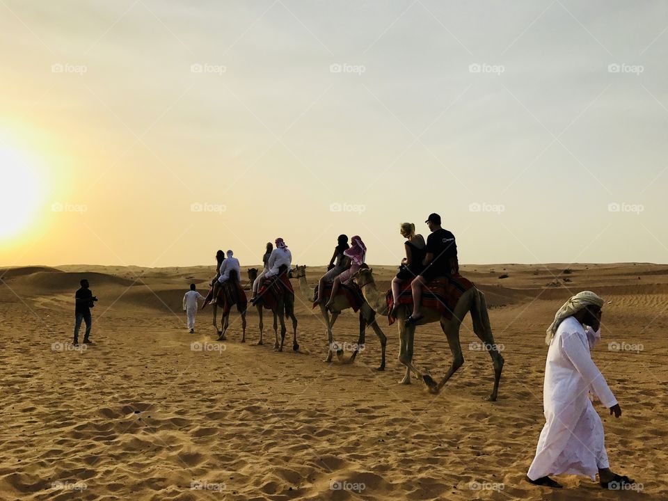 People in camel 