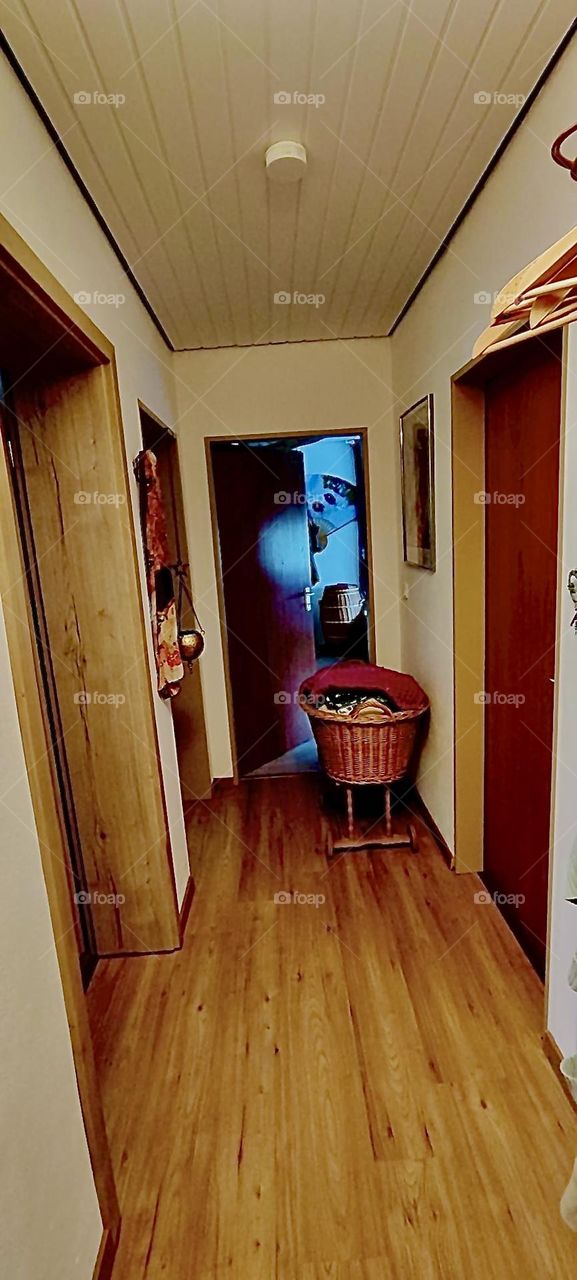 This is the hallway of the beautiful bungalow style house in „Bavaria“, Germany with many doors leading to adjacent rooms. The open door leads to the bedroom. 2023. Hypnotic Productions
