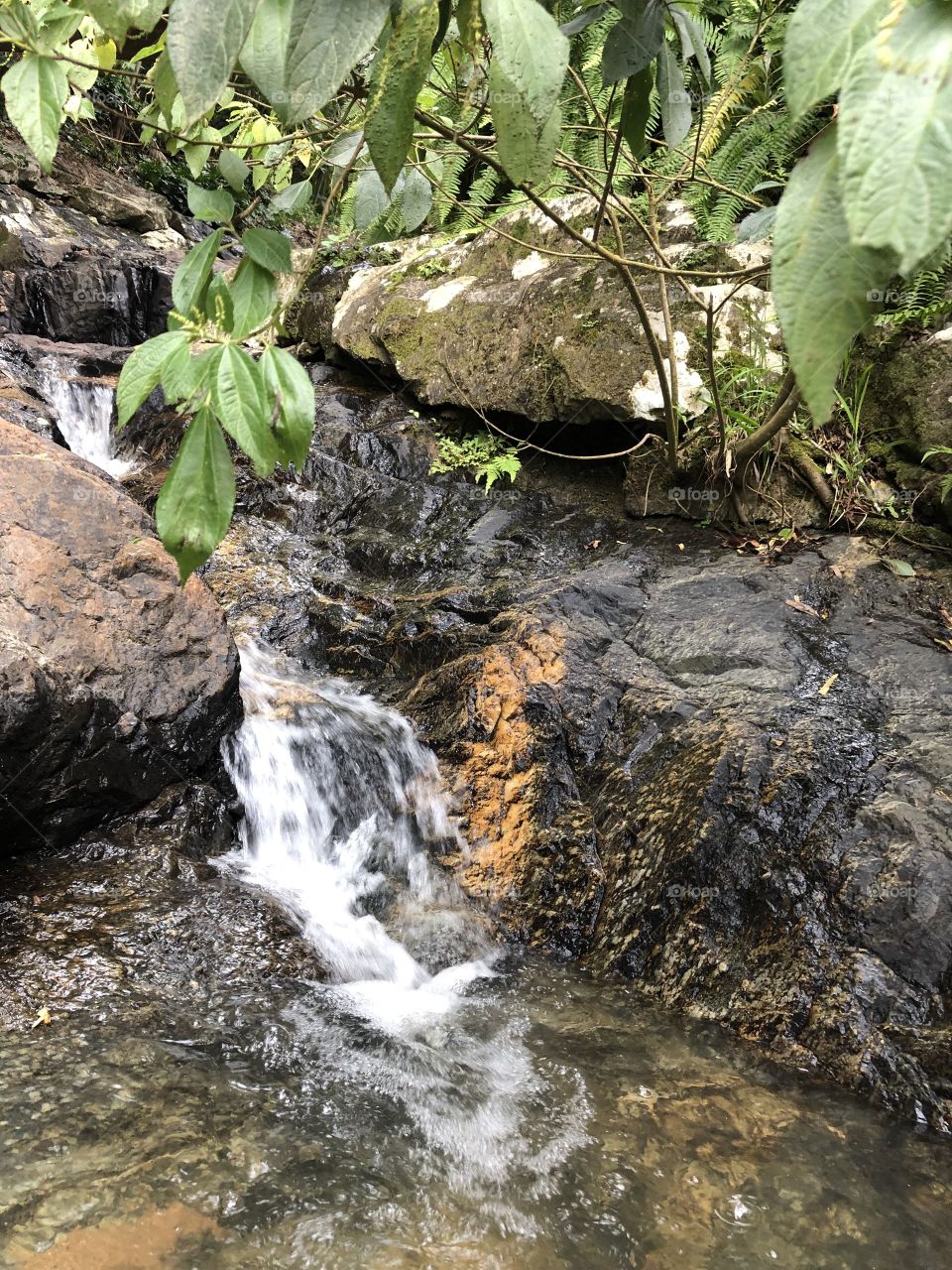 Mini cachoeira com folhas 