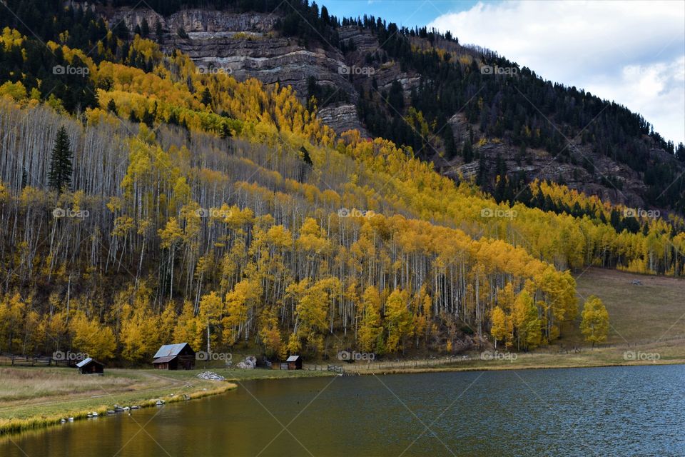 Remote cabin surrounded by Aspens near Durango Colorado