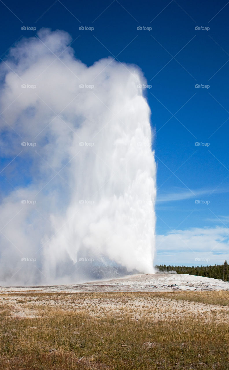 Old faithful geyser, Yellowstone National Park