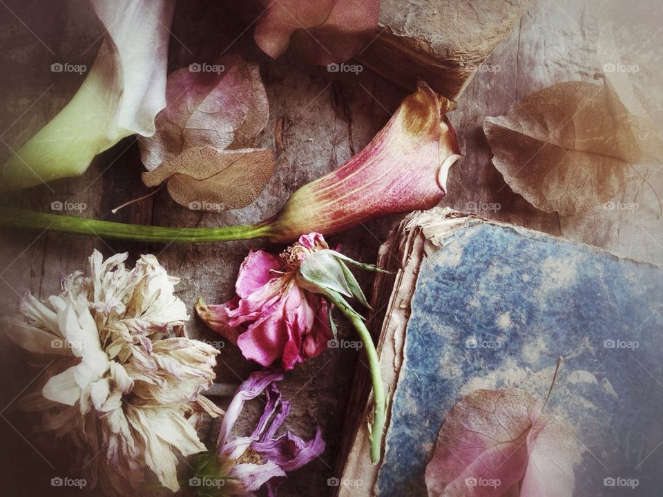 Fading flowers and old books