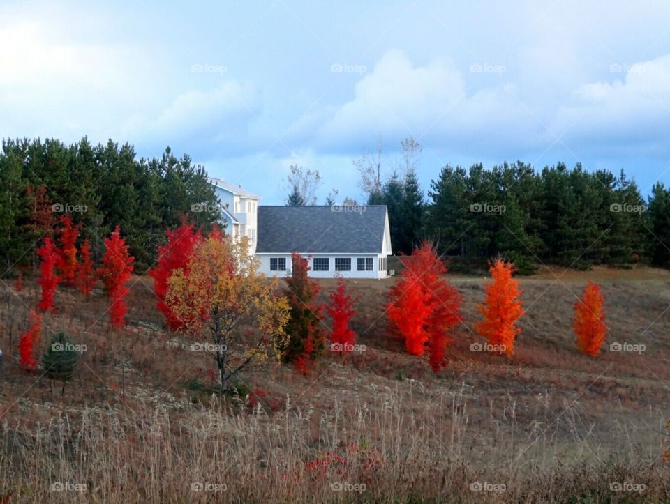 Fall at its finest in Michigan.