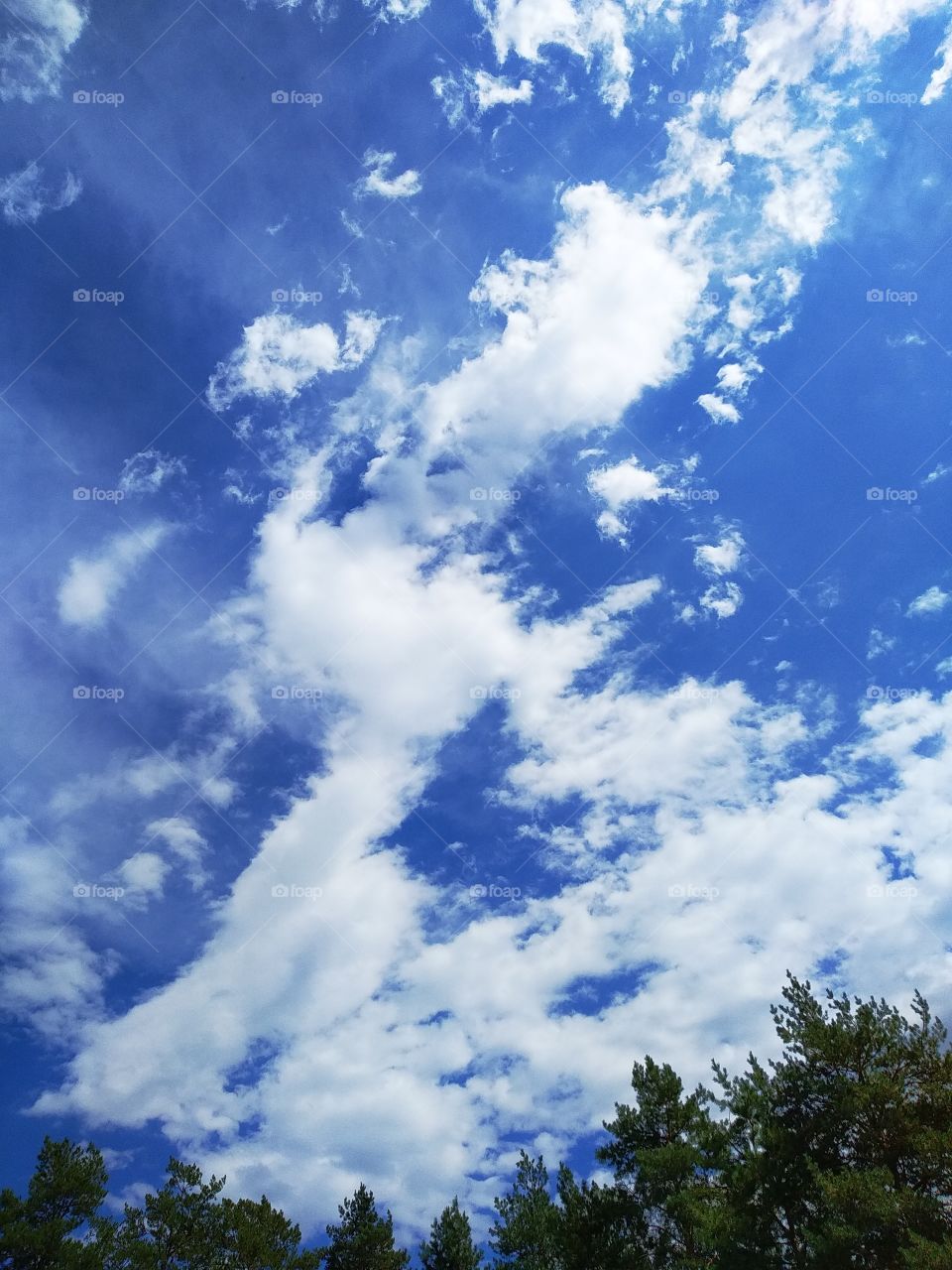 Sky