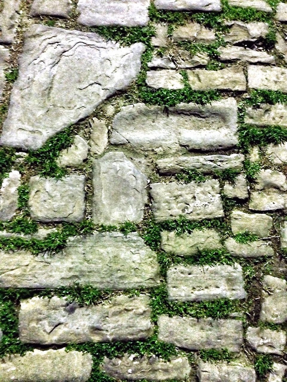 Ancient stone paved road