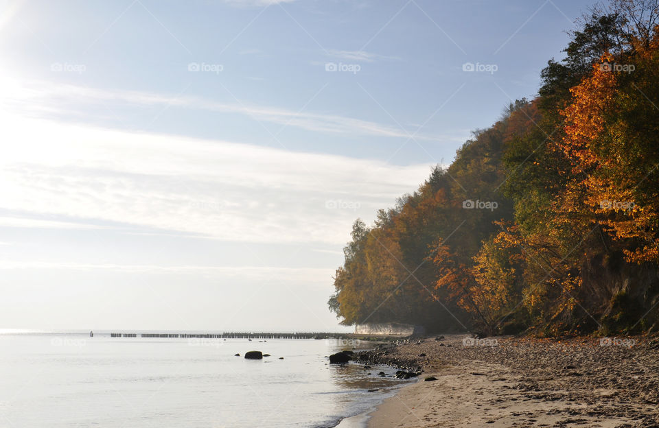 Autumn beach 