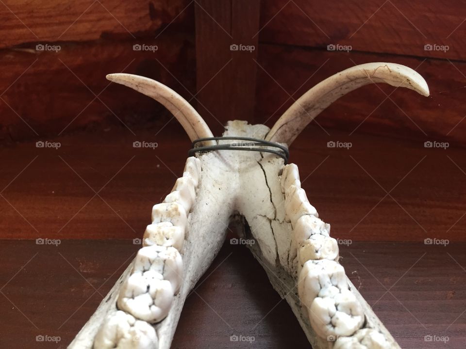 No Person, Wood, One, Wooden, Sculpture