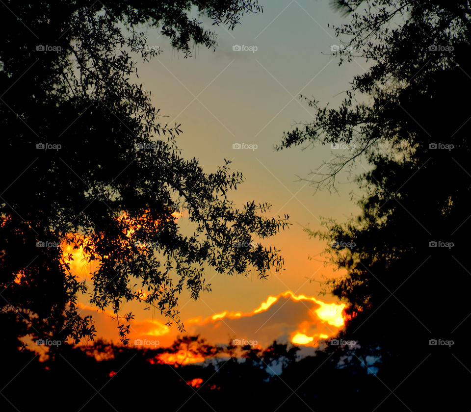 Storm Cloud! While I hunkered down the storm did not go gently. The air was dense and thick with moisture! No longer are the trees static,they bend and twist and occasionally break. The sound of thunder rolls through the area as another lightning bolt splits the sky! The clouds were thick and black and they were ready to dump their contents!