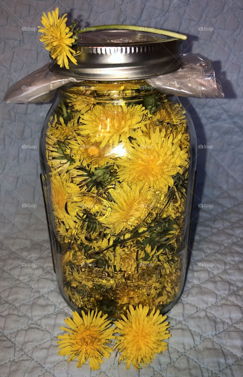 Dandelions in a jar.