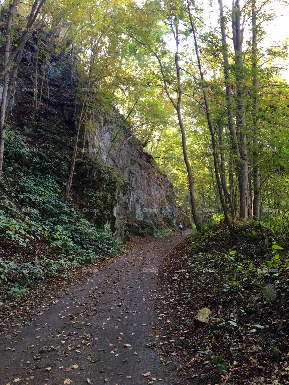Trail Autumn 