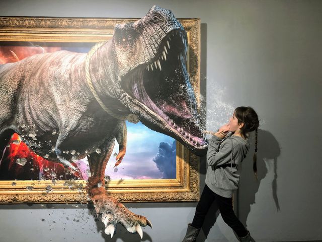 Illusion