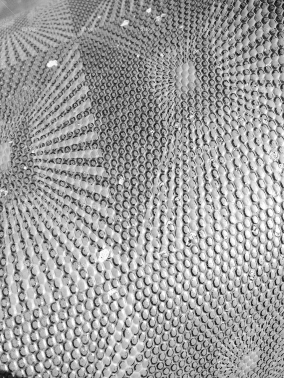 natural texture/b & w taxture