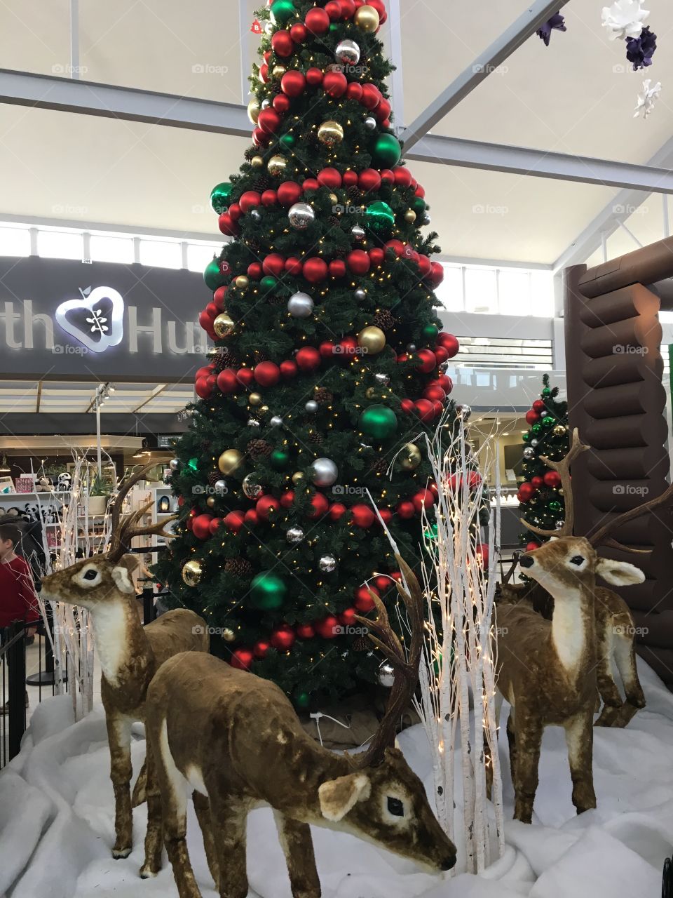 Santa’s Village at the mall