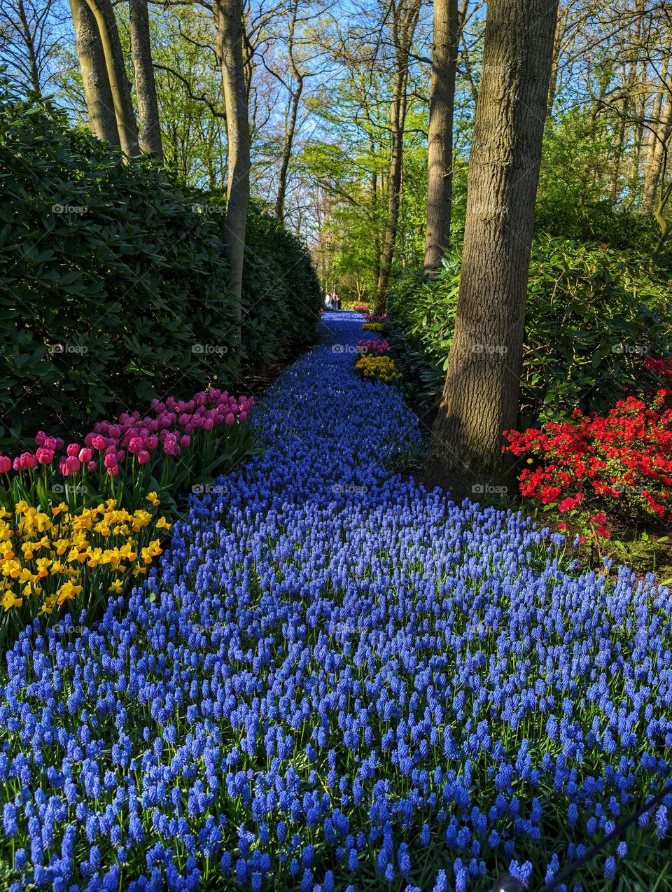 a stream of flowers