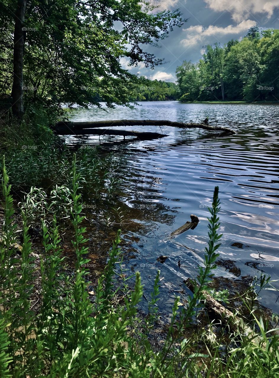 Dancing water ripples on the river