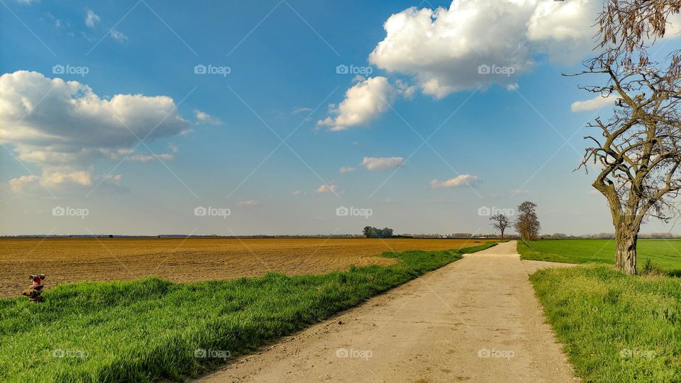 Dirt road