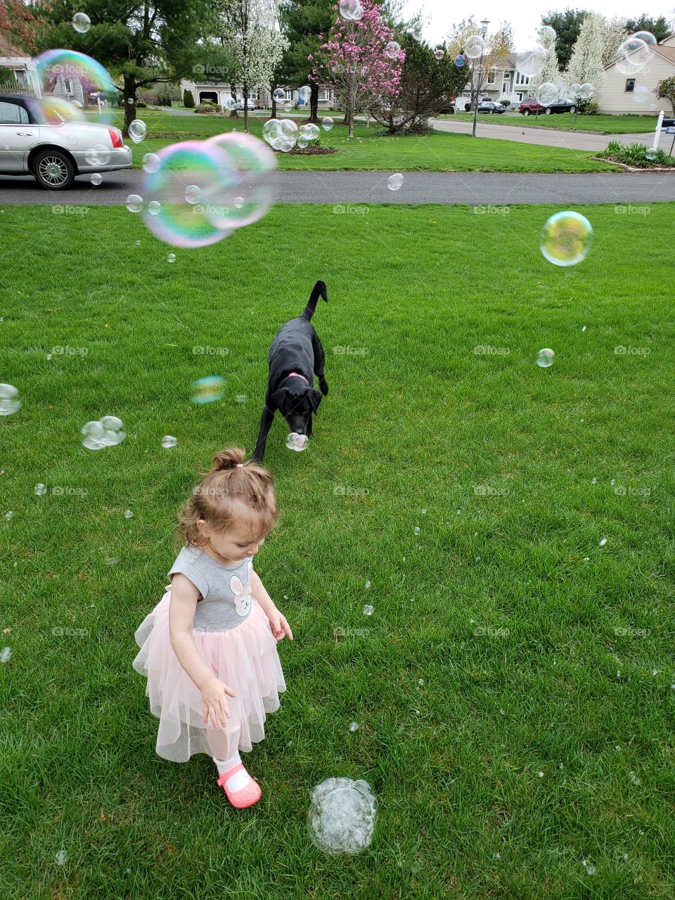 easter bubbles with bailey