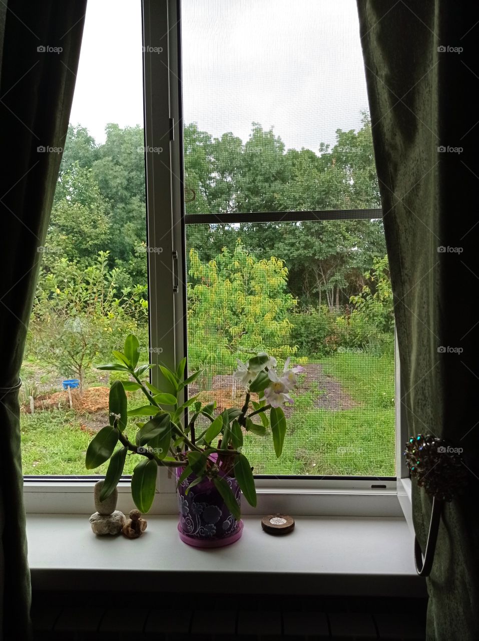 View from the window to the garden and the forest belt.