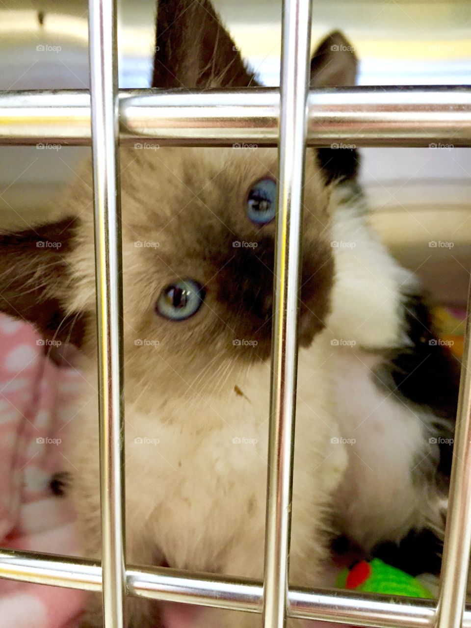 Ready for my close-up