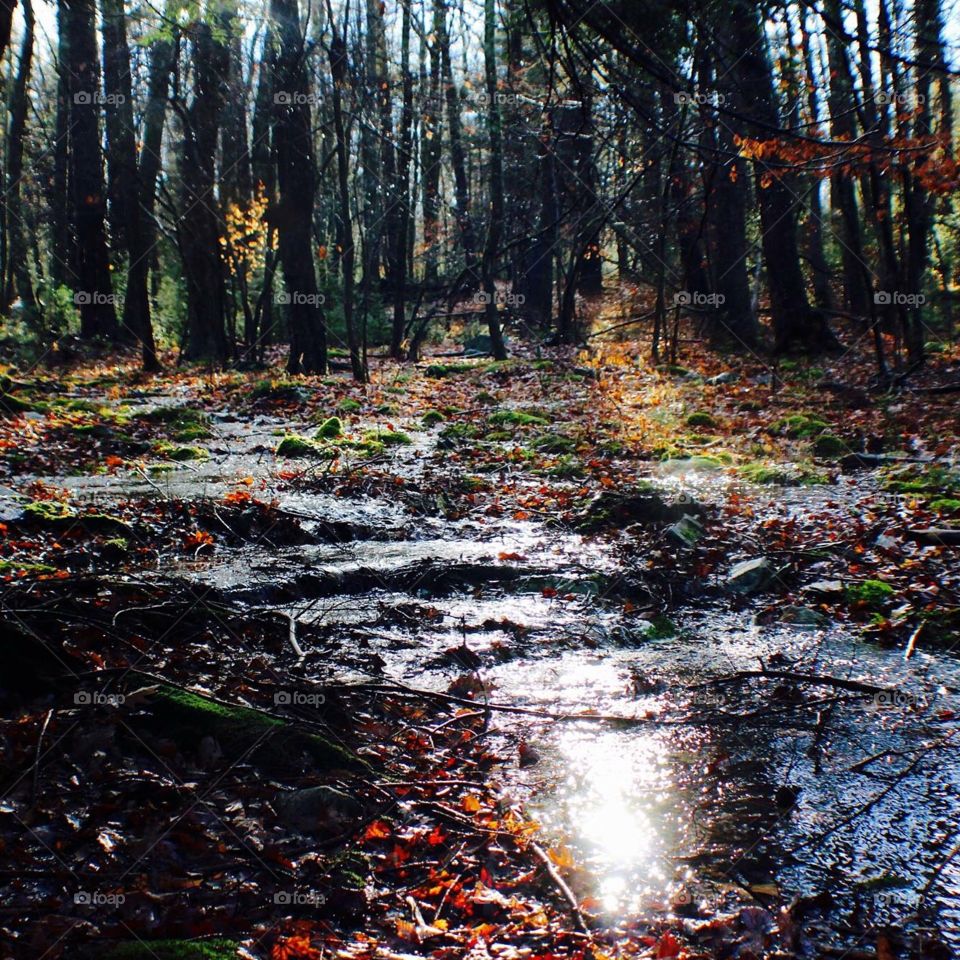 Flooded Valley