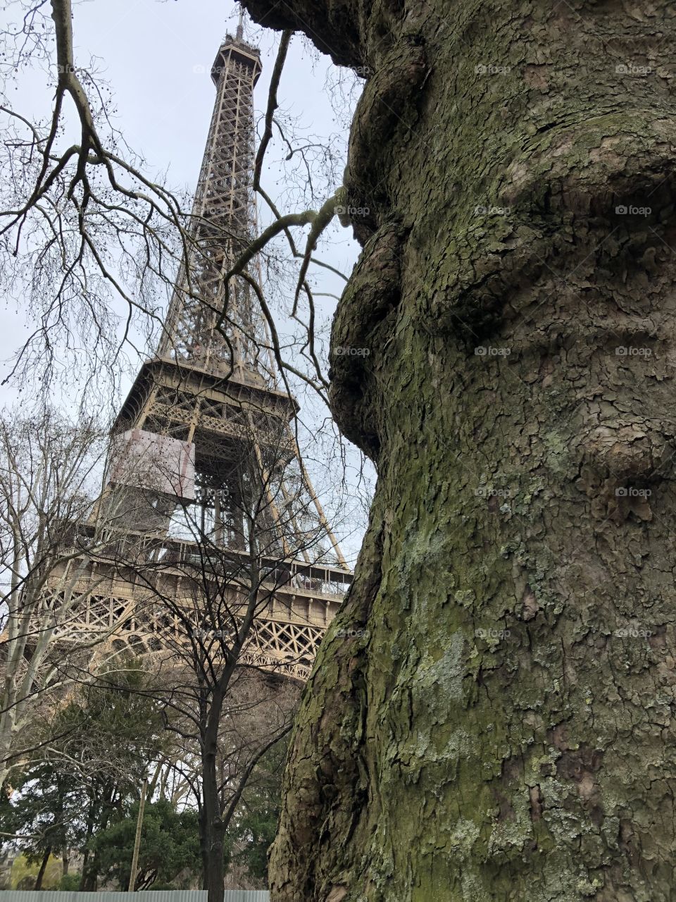 Eiffel Tower paris