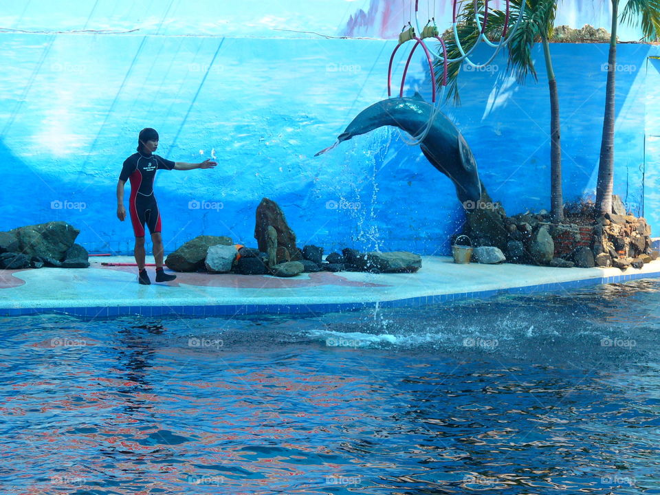 Swimming, Water, Recreation, Dug Out Pool, Ocean