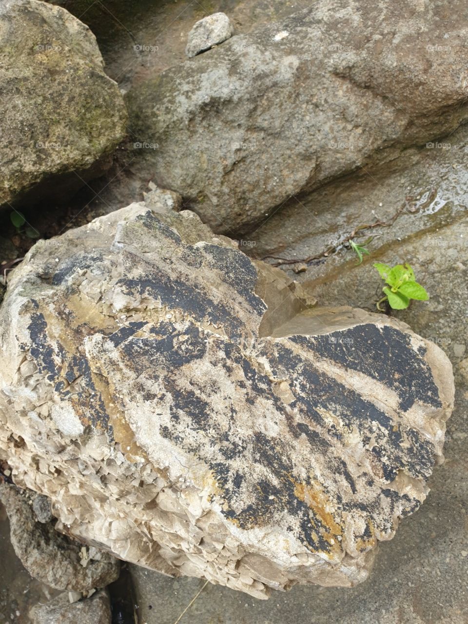 Sediment rock